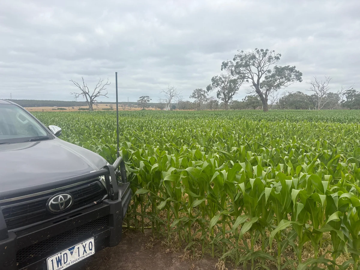 Additional image 44 of 111 Smith Street, Heywood VIC 3304