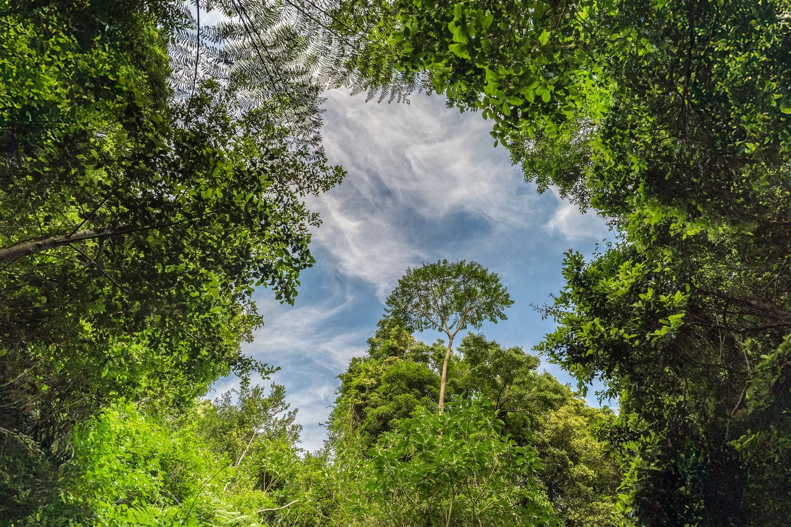 Additional image 11 of 71 Nuninuna Drive, Jamberoo NSW 2533