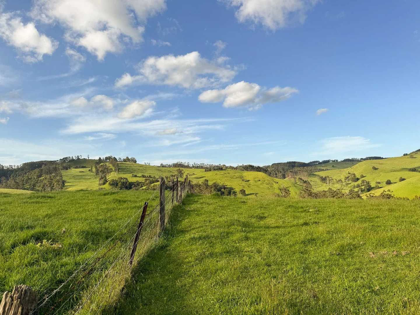 Additional image 14 of 1725 Wild Dog Valley, Strzelecki VIC 3950