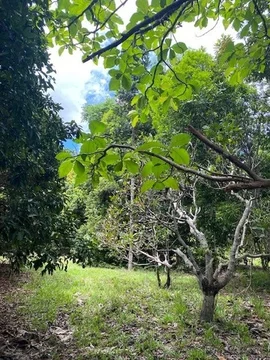 Additional image 4 of 258 Ganyan Drive, Speewah QLD 4881