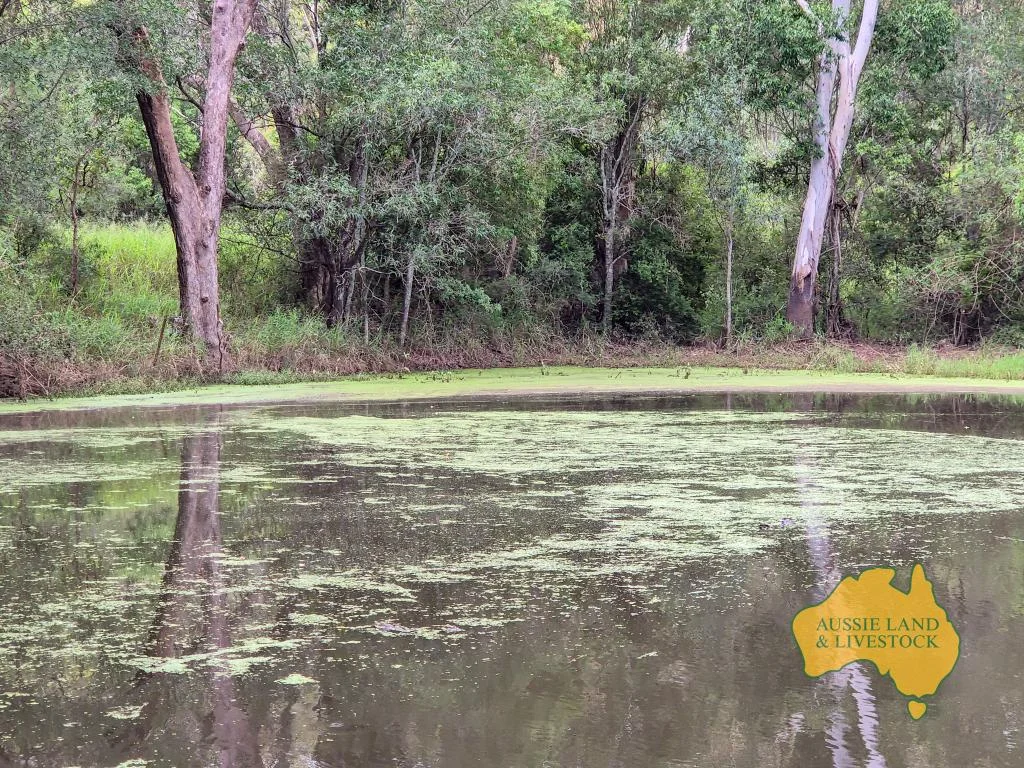 Additional image 5 of 296 Cloyna West Road, Cloyna QLD 4605