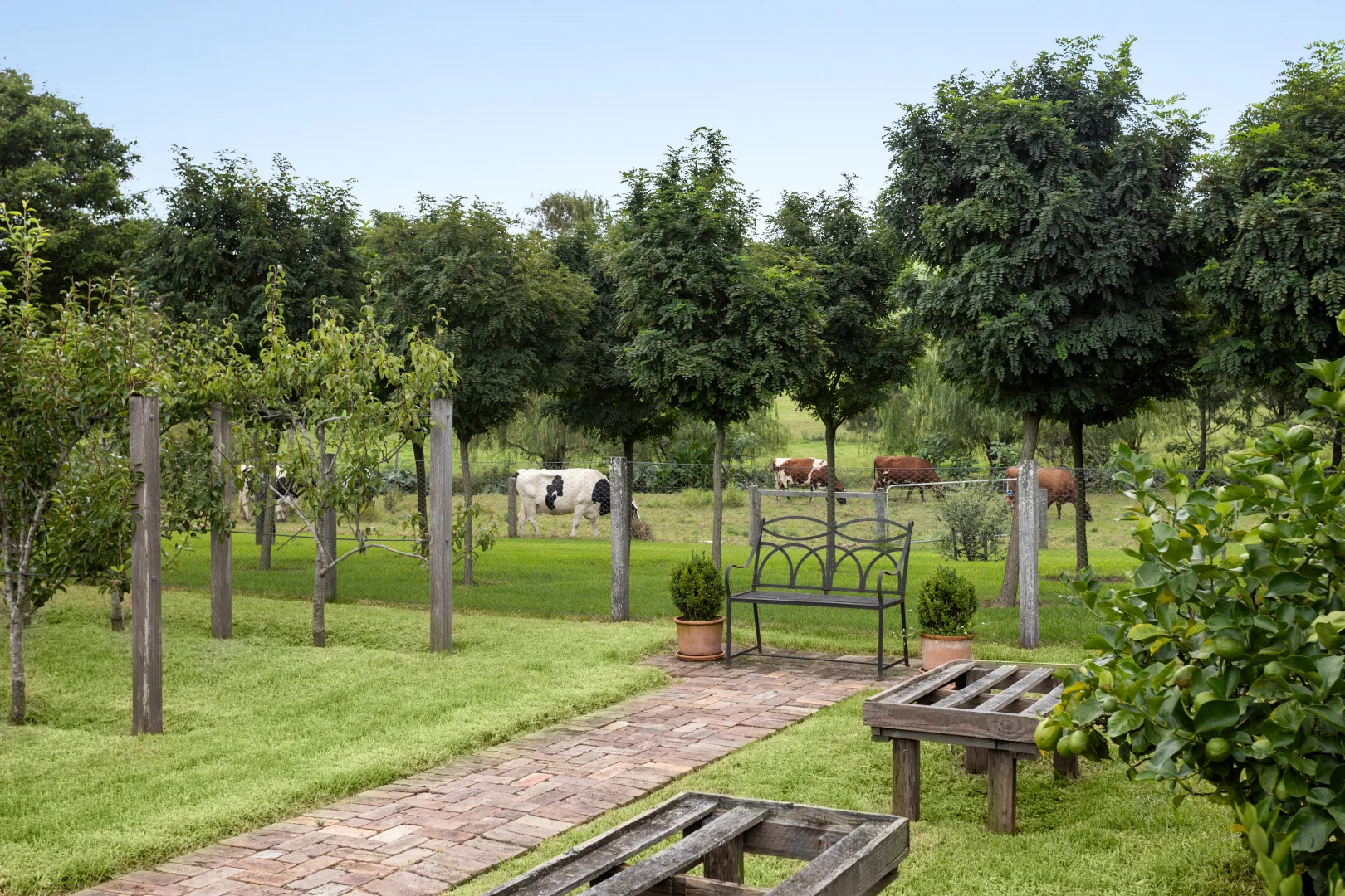 Additional image 22 of 467 Jamberoo Road, Jamberoo NSW 2533