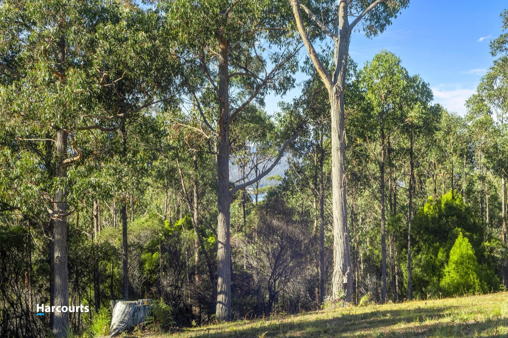 Additional image 17 of 15 Stella Court, Surges Bay TAS 7116