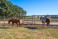 Additional image 6 of 5111 Todd Rd, Sebastopol, CA, 95472