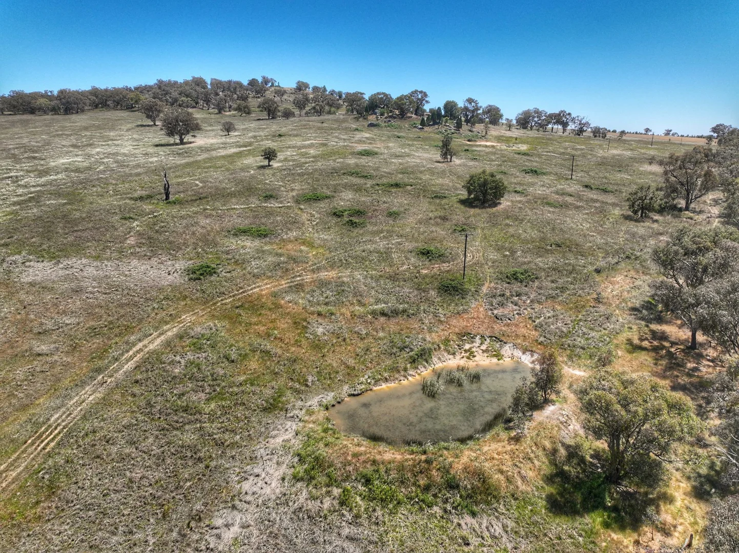 Additional image 7 of 1294 Pine Mount Road, Woodstock NSW 2793