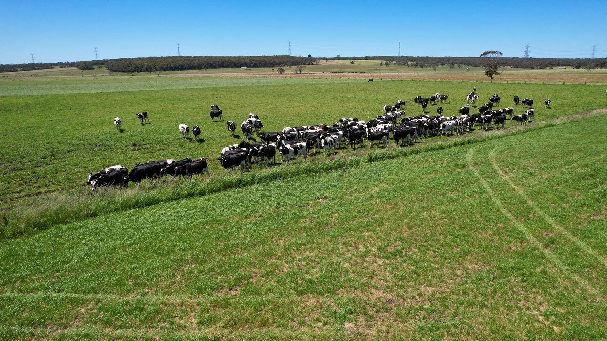 Additional image 42 of 111 Smith Street, Heywood VIC 3304