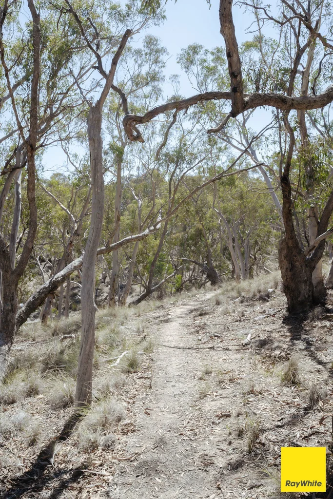 Additional image 27 of 625 Macs Reef Road, Bywong NSW 2621