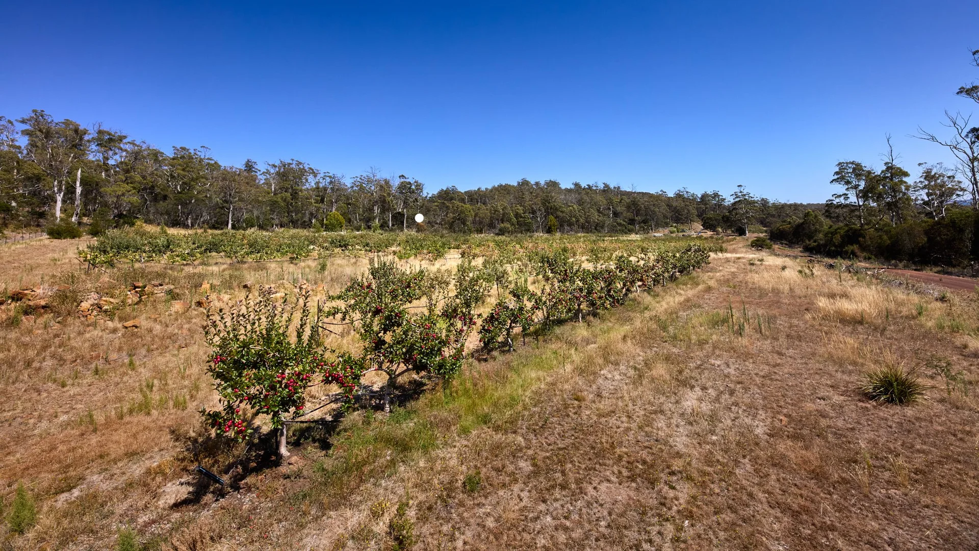 Additional image 14 of 389 Auburn Road, Beaconsfield TAS 7270