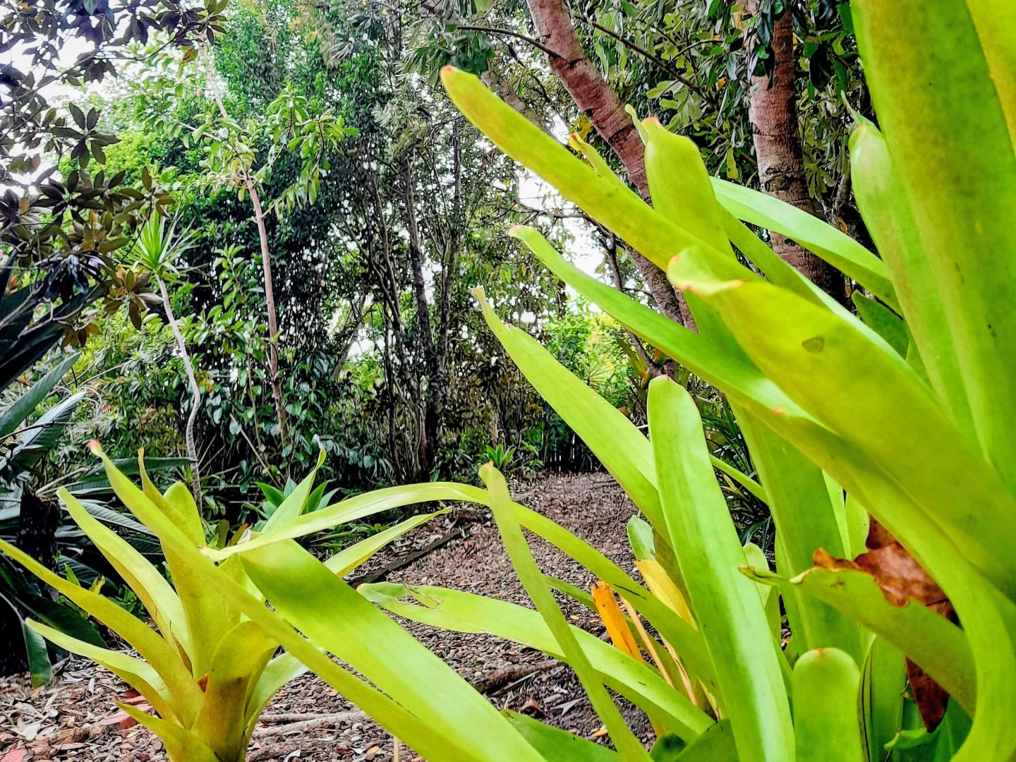 Additional image 22 of 4 Elms Court, Southside QLD 4570