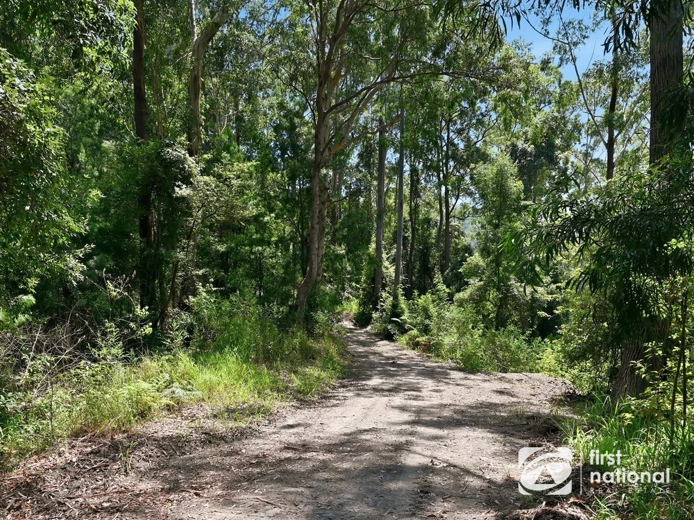 Additional image 16 of Lot 65 North Island Loop Road, Upper Orara NSW 2450