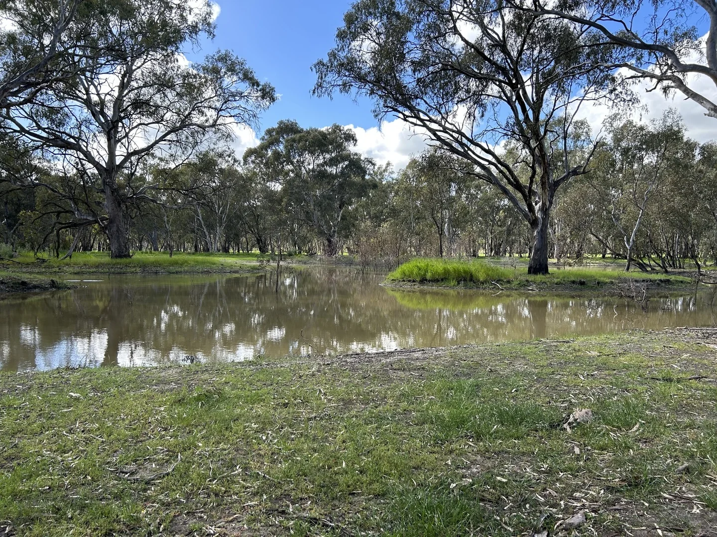 Additional image 11 of 40 Brooke Court, Numurkah VIC 3636