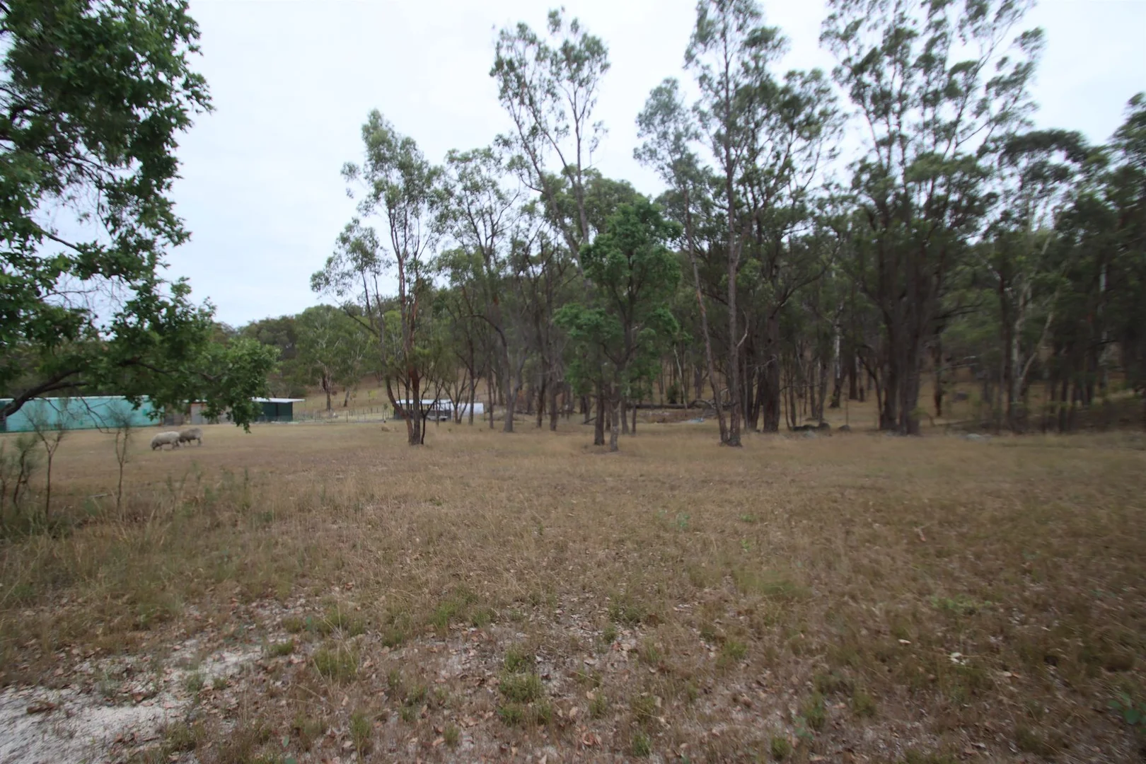 Additional image 27 of 22 Bluff River Road, Tenterfield NSW 2372