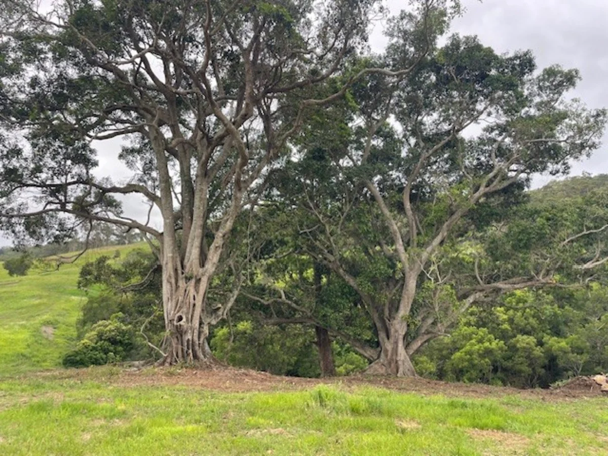 Additional image 2 of Ocean View QLD 4521