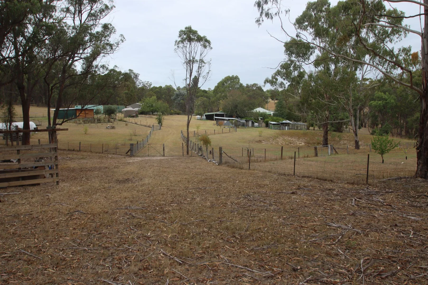 Additional image 2 of 22 Bluff River Road, Tenterfield NSW 2372