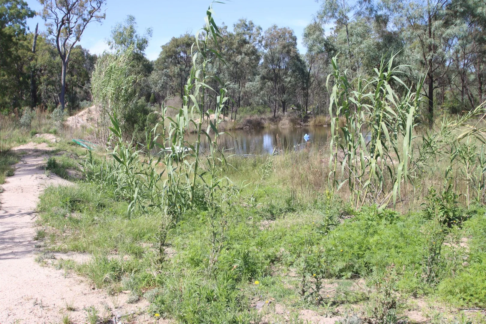 Additional image 5 of 27779A New England Highway, Fletcher QLD 4381