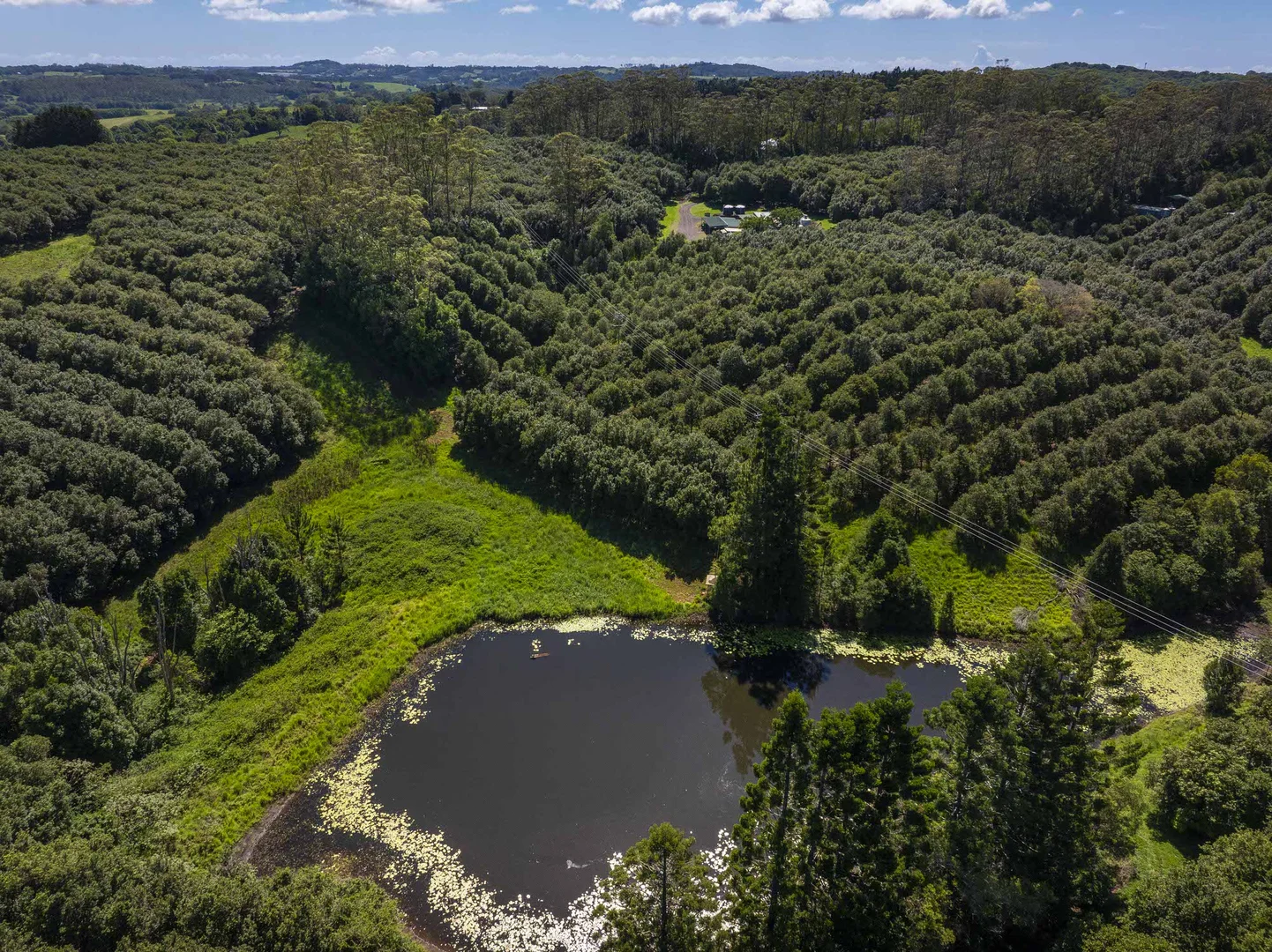 Additional image 8 of McLeans Ridges NSW 2480