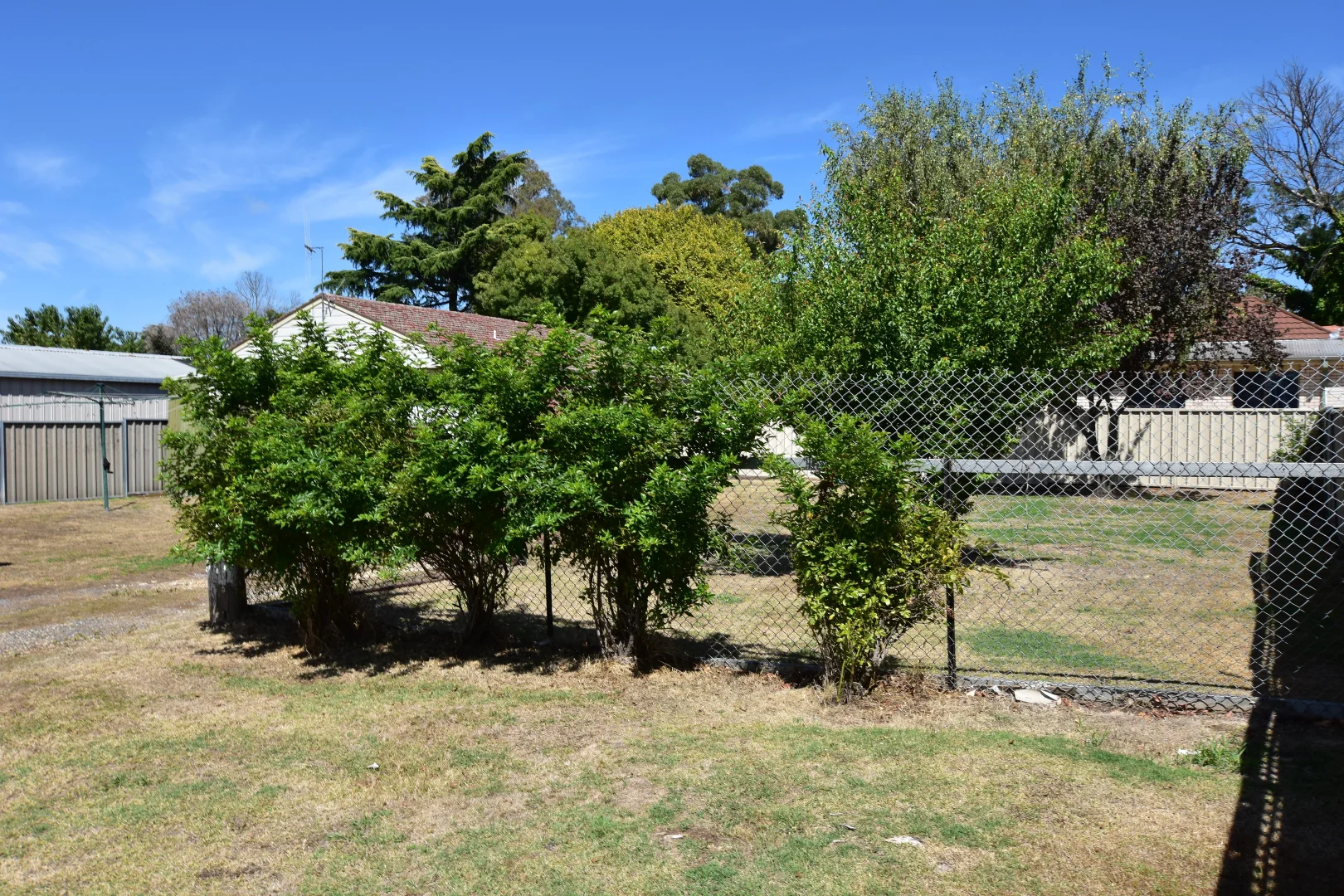 Additional image 19 of 293 Peisley Street, Orange NSW 2800
