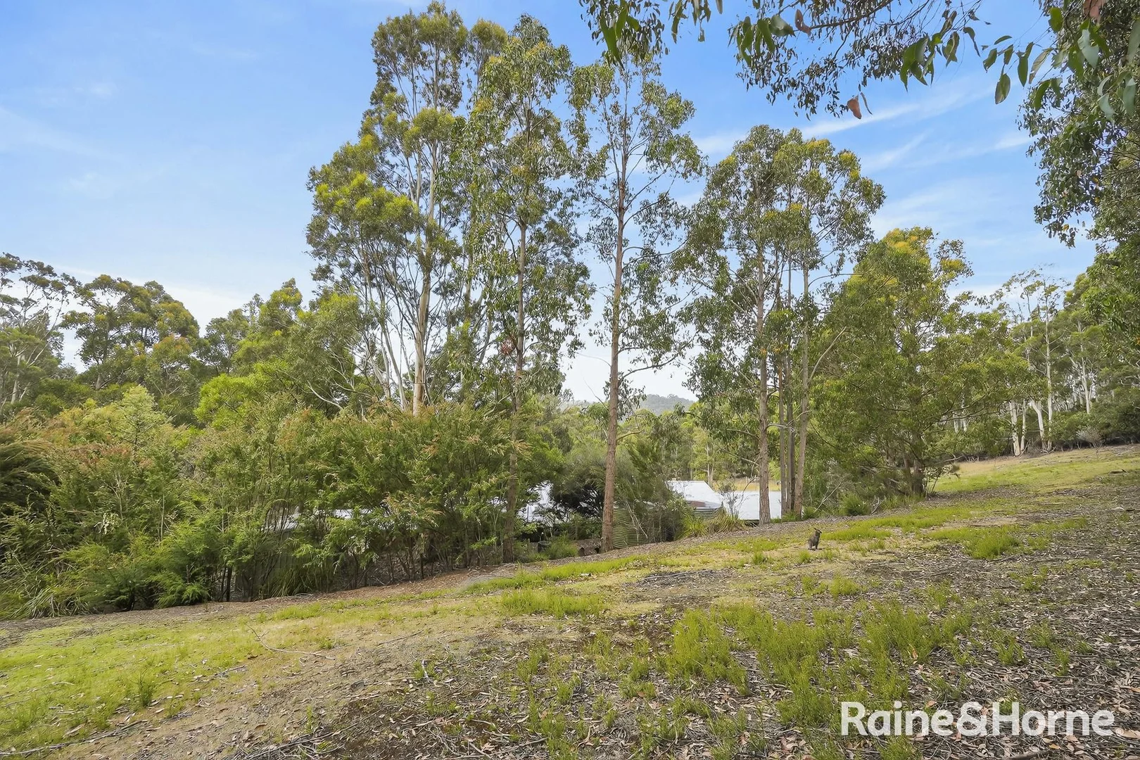 Additional image 29 of 75 Mountain Road, Allens Rivulet TAS 7150