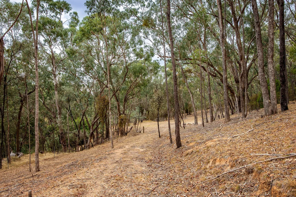 Additional image 26 of 22 Crystal Creek Lane, Yackandandah VIC 3749