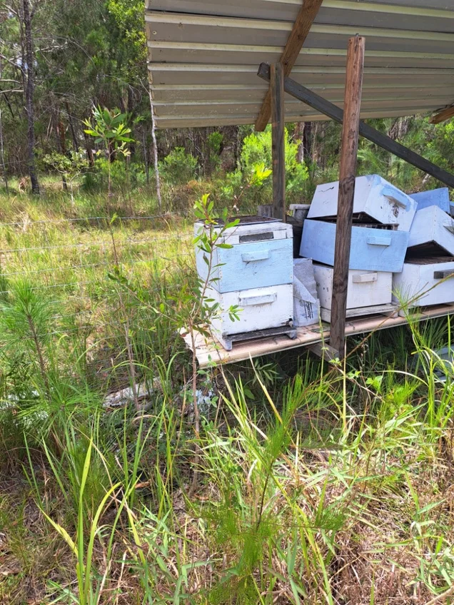 Additional image 37 of 47 Osborne Court, Wallu QLD 4570