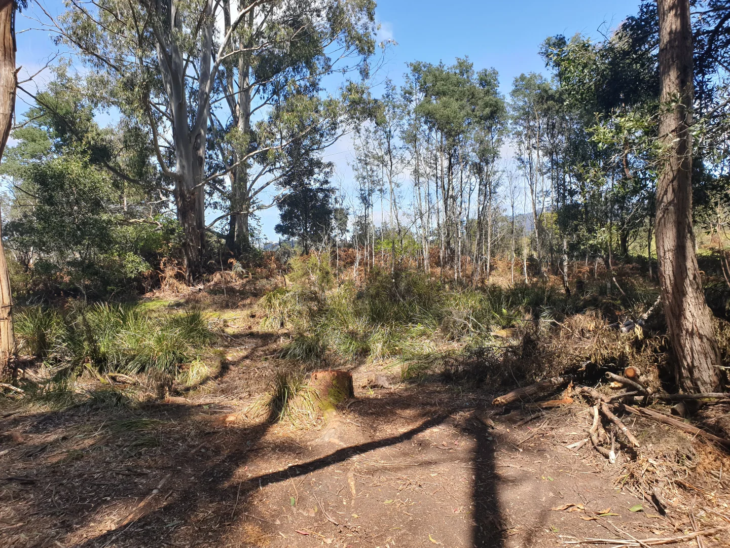 Additional image 5 of 33 Holmes Road, Ellendale TAS 7140