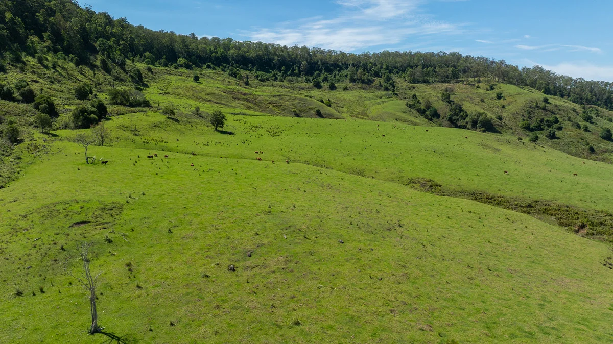 Additional image 28 of Bingeebeebra Creek, Mummulgum NSW 2469