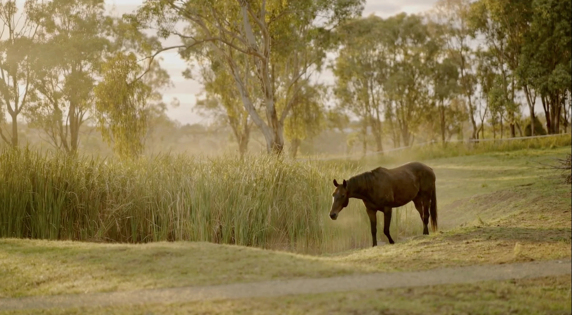 Additional image 7 of 9 Alinnya Lane, Armidale NSW 2350