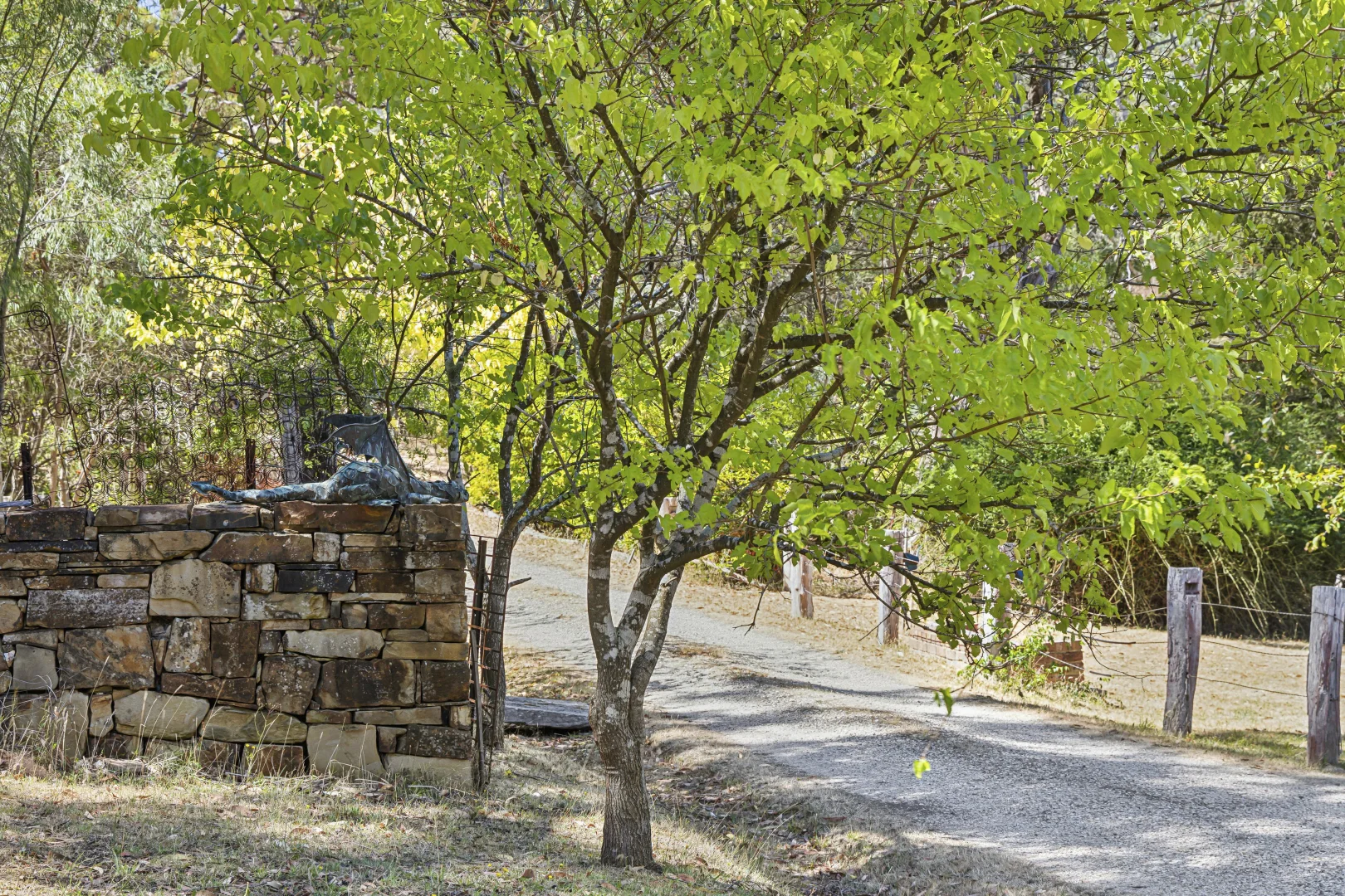 Additional image 11 of 159 Eyles Lane, Drummond VIC 3461