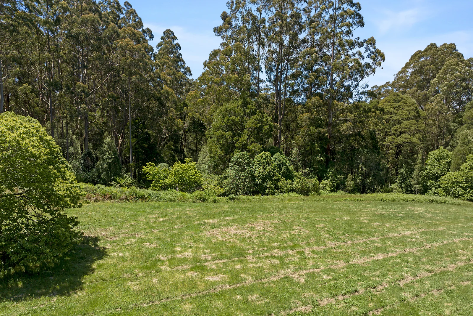 Additional image 4 of Lot 3, 4275 Colac-Lavers Hill Road, Weeaproinah VIC 3237