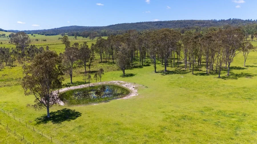 Additional image 20 of 207 Laytons Range Road, Nymboida NSW 2460