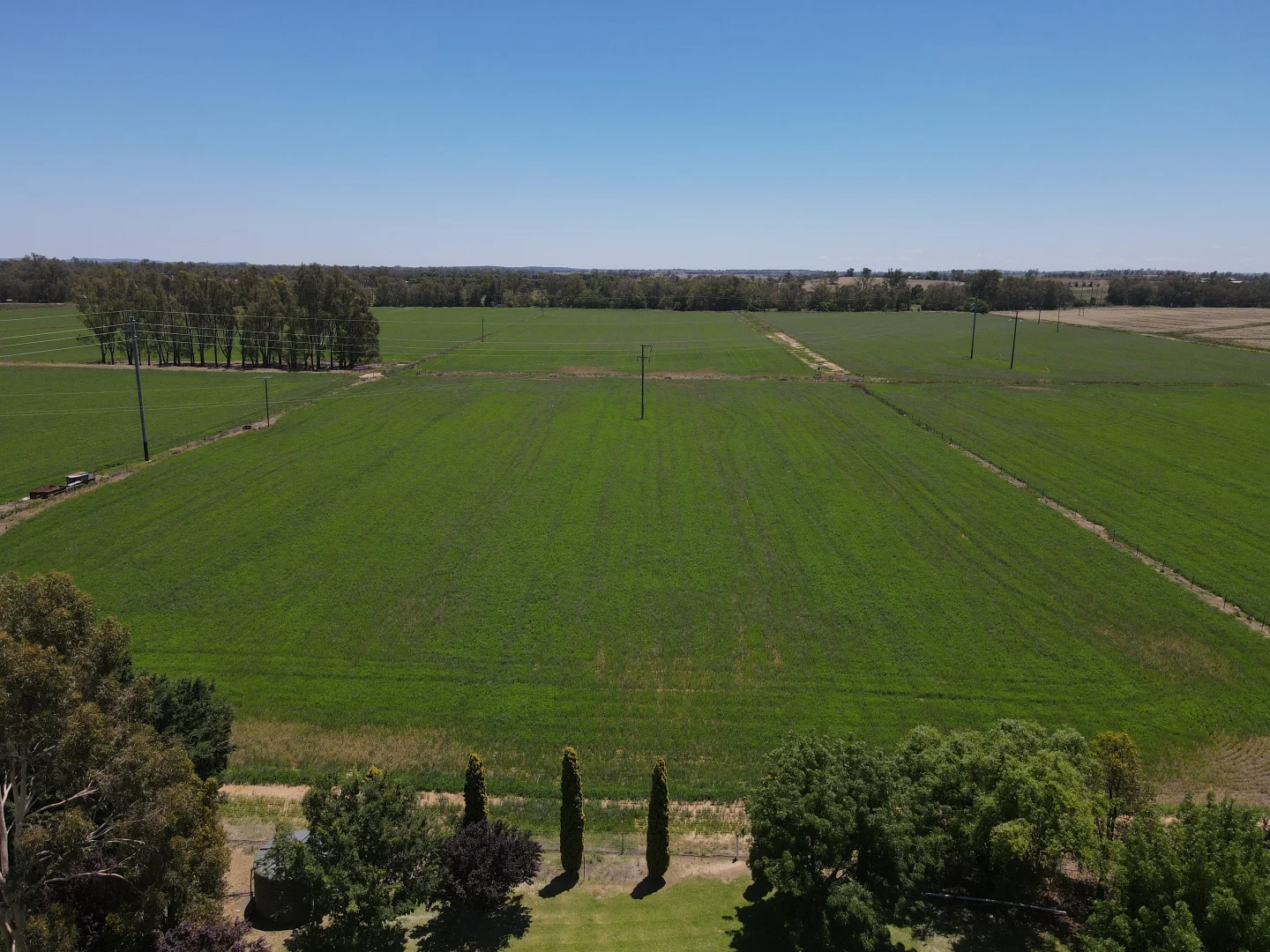 Additional image 2 of 160 Lachlan Valley Way, Forbes NSW 2871