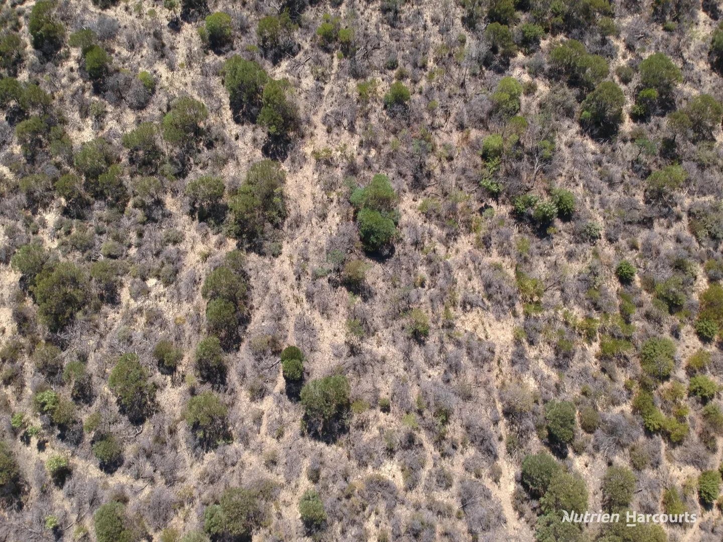 Additional image 5 of Lot 2691 Fraser Road, Walkaway WA 6528