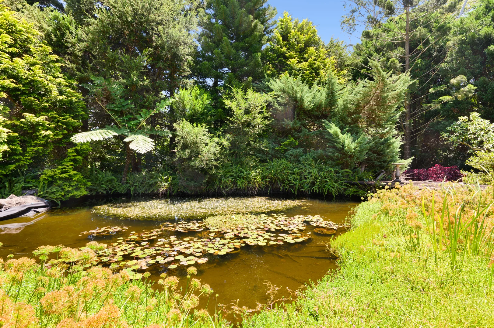 Additional image 7 of 1-27 Bishopp Court, Tamborine Mountain QLD 4272