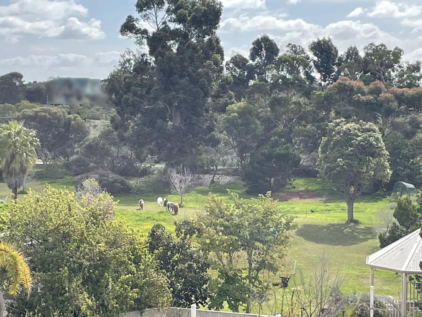 Additional image 32 of 134 Lalor Drive, Windabout WA 6450