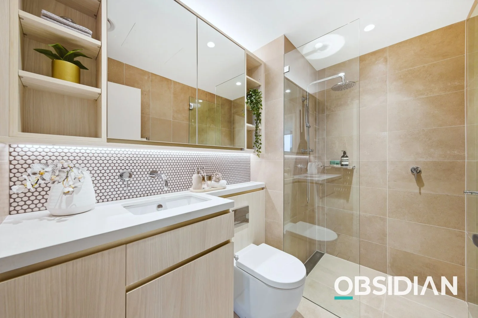 Additional image 13 of 317/78a Albany Street, Crows Nest NSW 2065