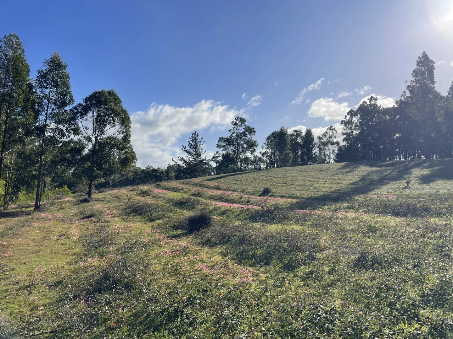 Additional image 2 of Proposed Lots 1-11 Cnr Thornbill Road & Nelson Road, Bridgetown WA 6255