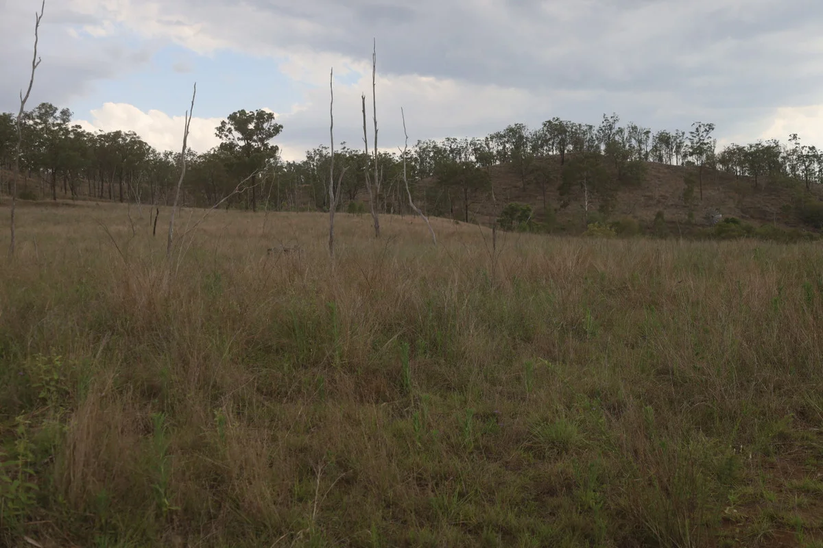 Additional image 14 of 479 Pine Mountain Creek Road, Monto QLD 4630