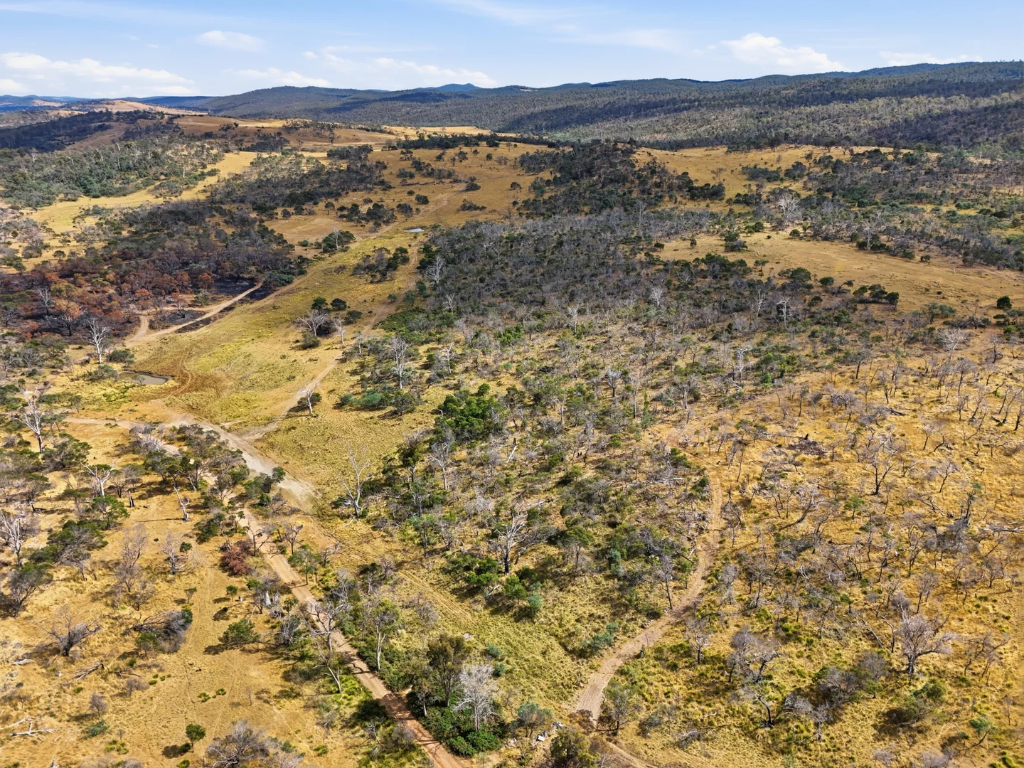 Additional image 35 of 75 Prossers Forest Road, Ravenswood TAS 7250