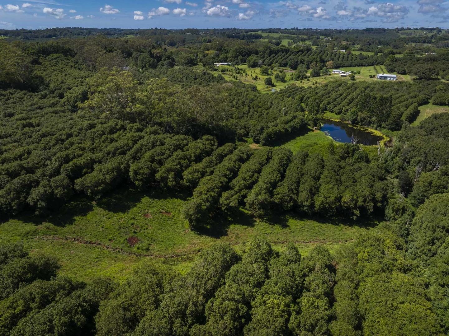 Additional image 6 of McLeans Ridges NSW 2480