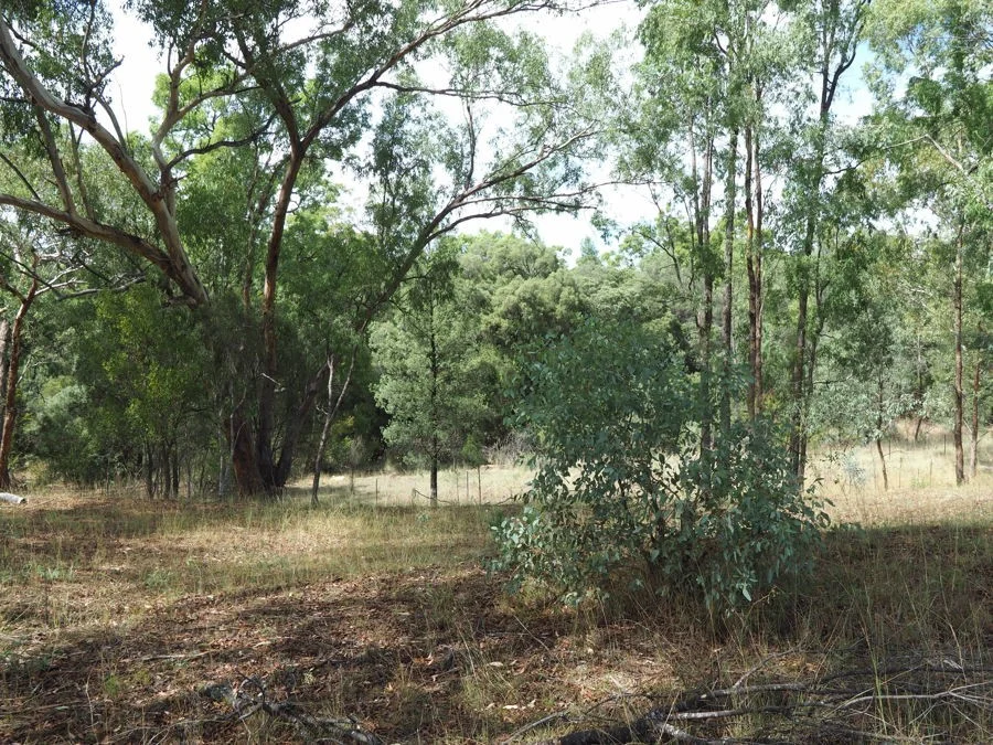 Additional image 6 of 288 Fairford Road, Warialda NSW 2402