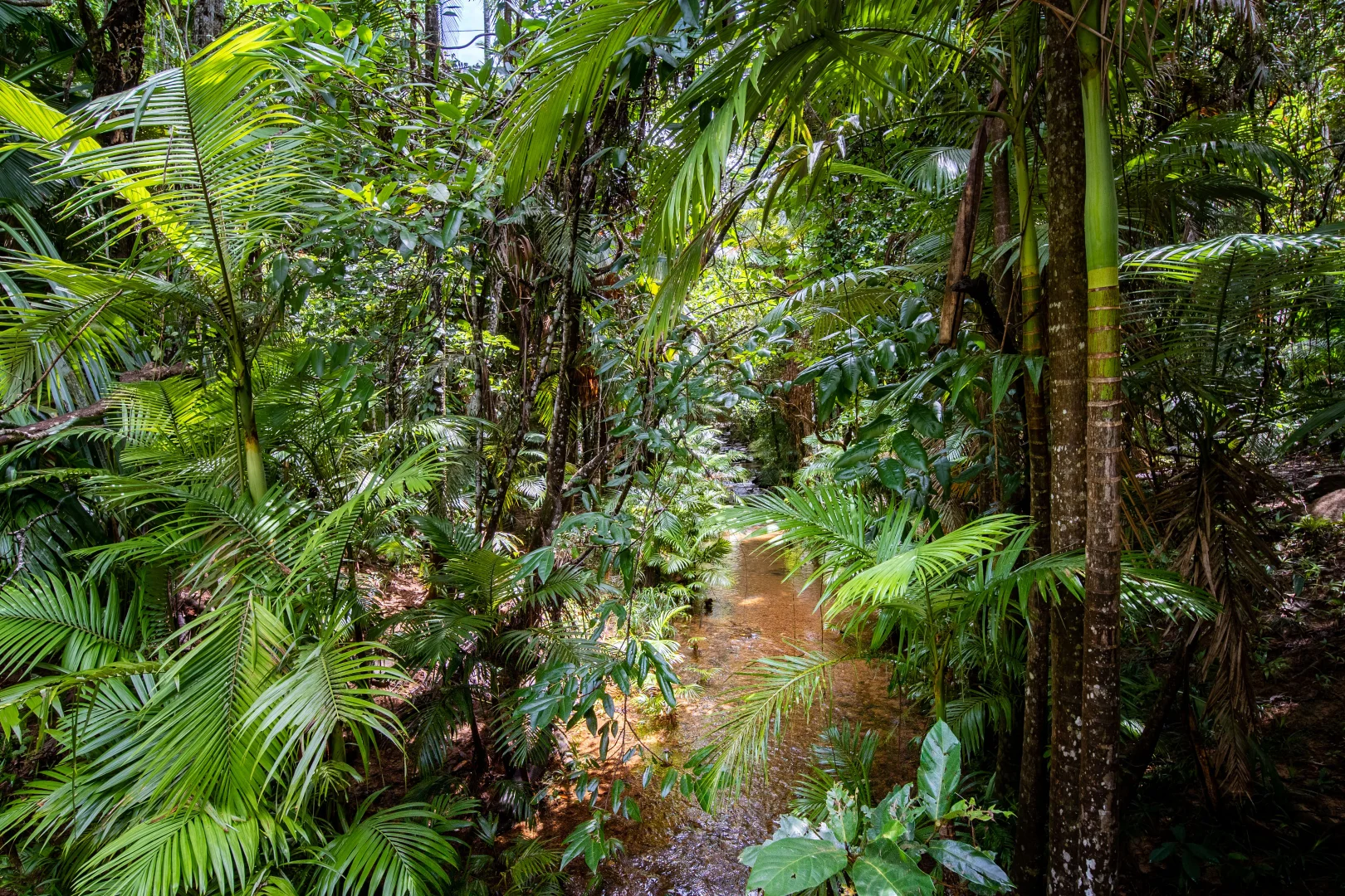Additional image 5 of 3 Greendale Court, Jubilee Heights QLD 4860