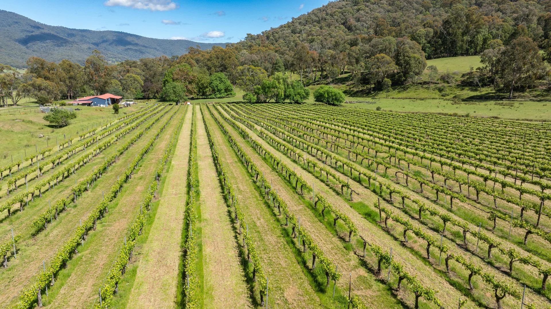 Additional image 14 of 285 Bay Creek Lane, Mongans Bridge VIC 3691