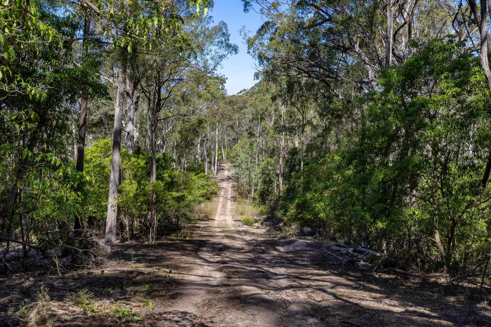 Additional image 18 of 464 Dorrigo Road, Brogo NSW 2550