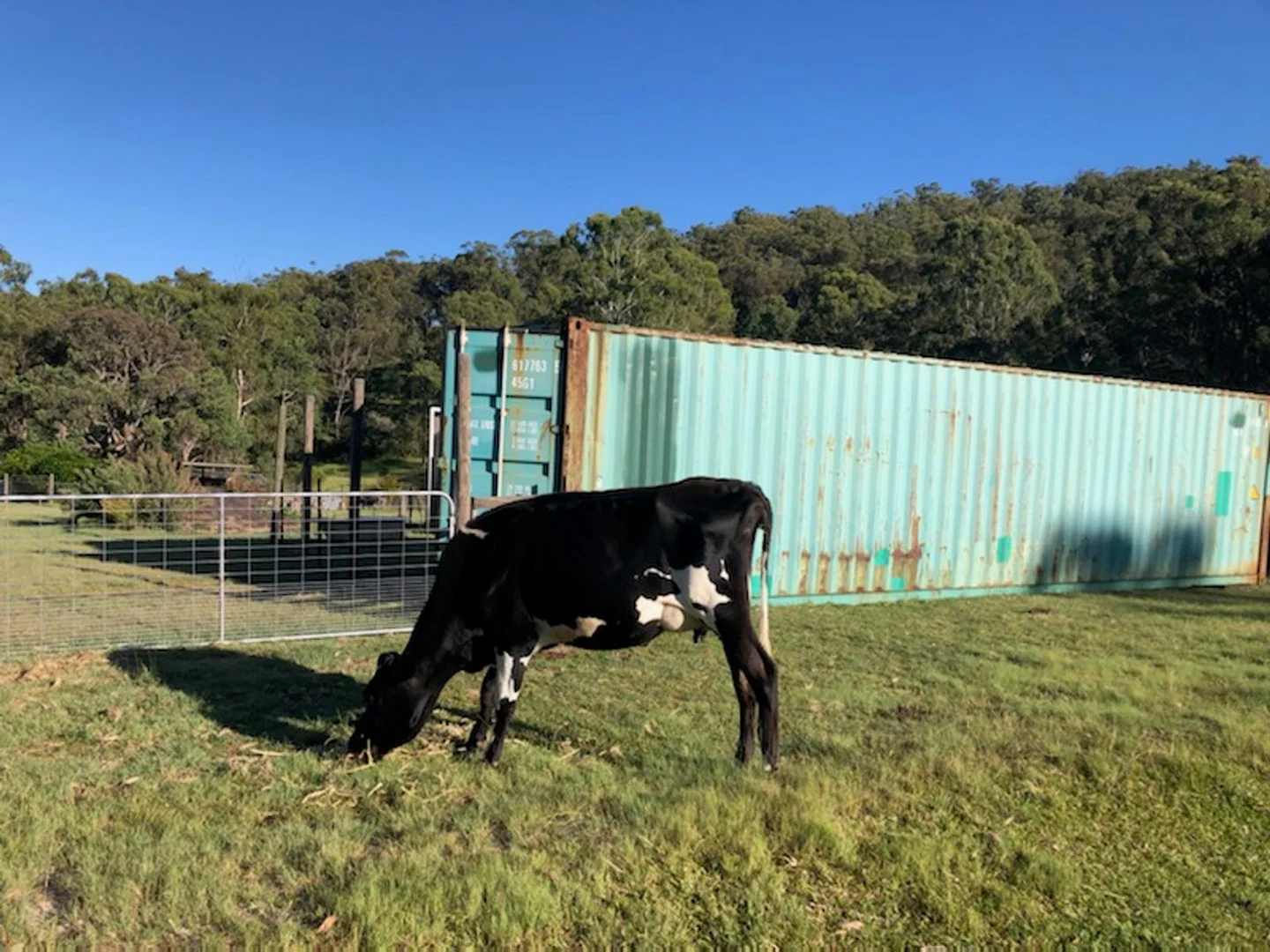 Additional image 39 of 22 Bluff River Road, Tenterfield NSW 2372