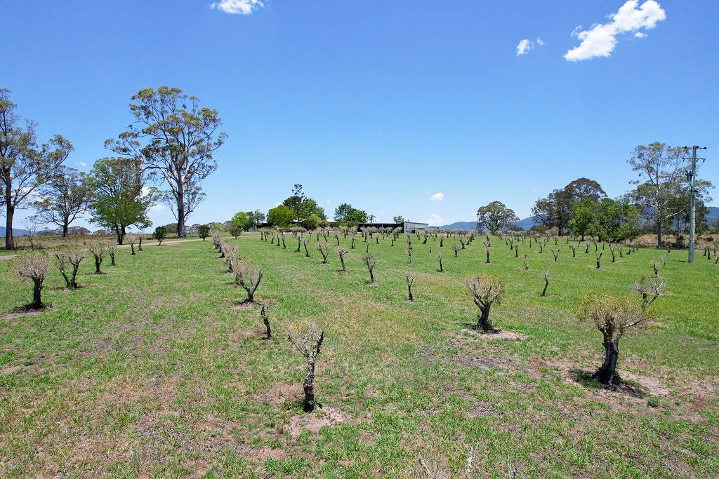 Additional image 35 of 61 Crowthers Road, Gloucester NSW 2422
