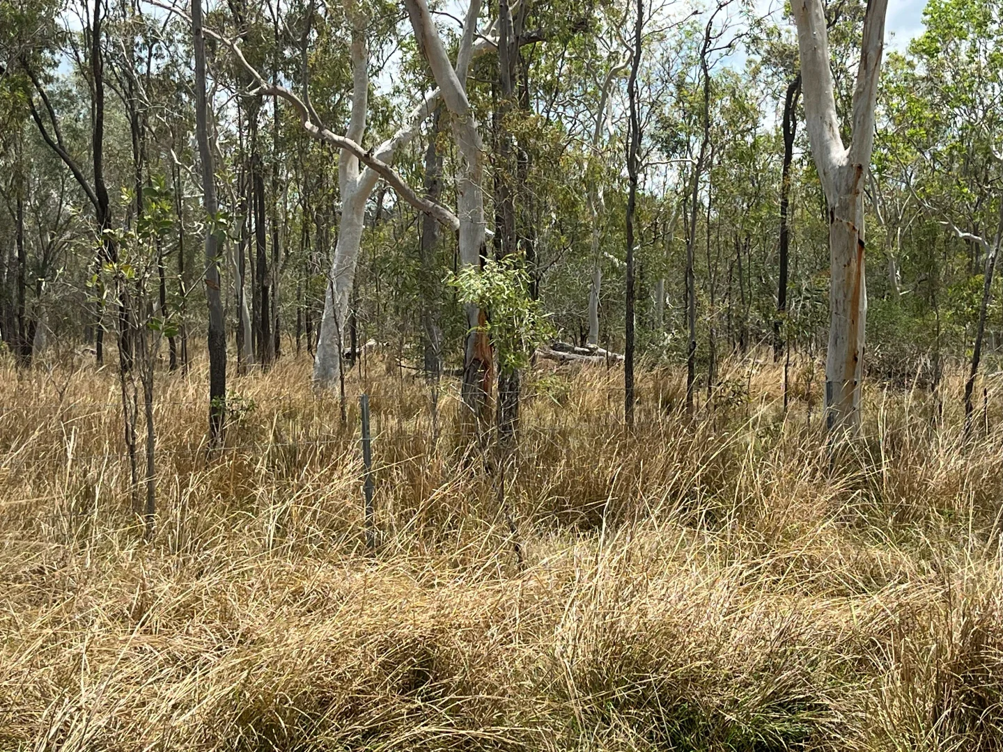 Additional image 35 of Blunder Park Station 382 Blunder Park Road, Ravenshoe QLD 4888