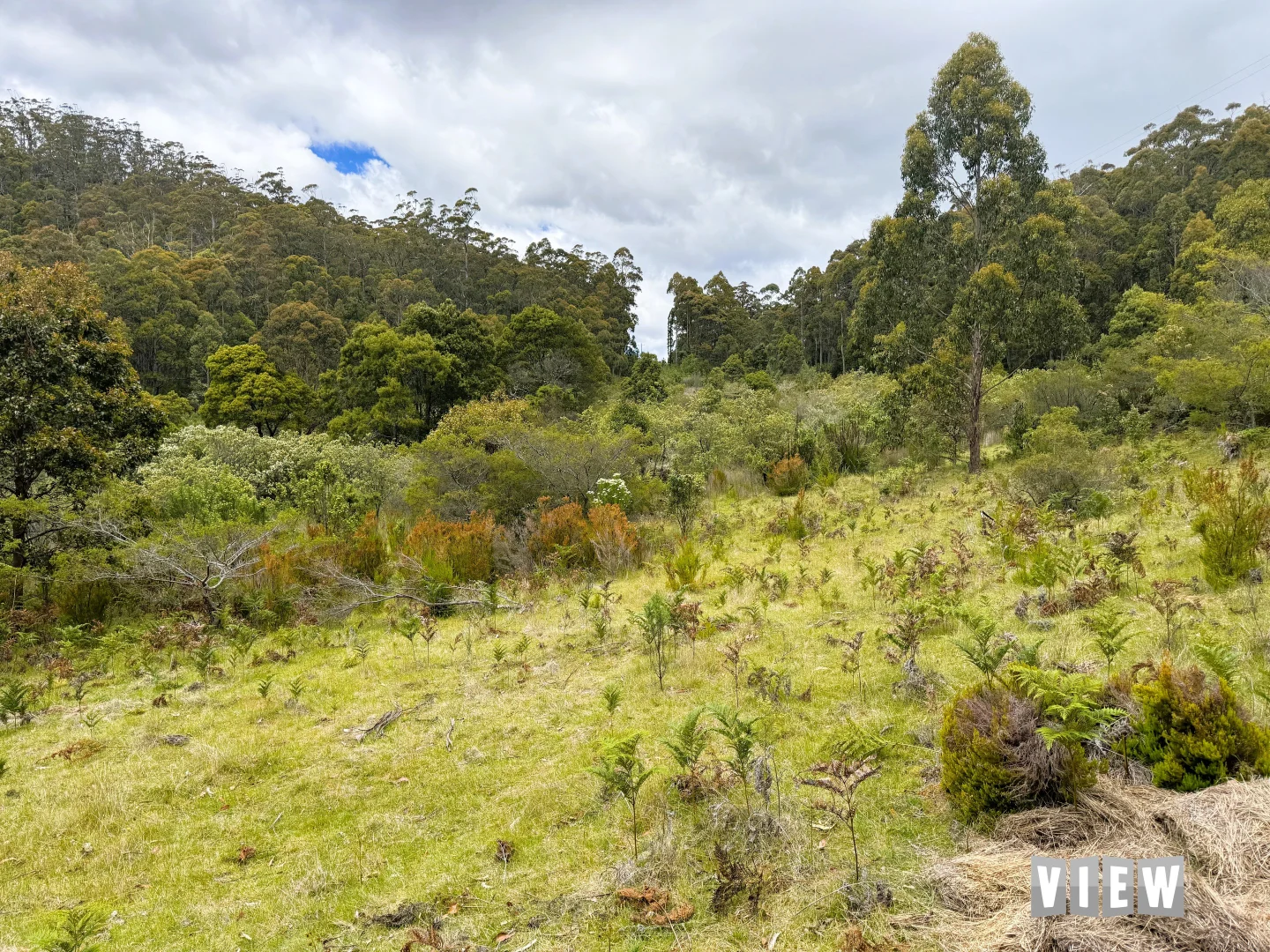 Additional image 10 of 520 German Town Road, St Marys TAS 7215