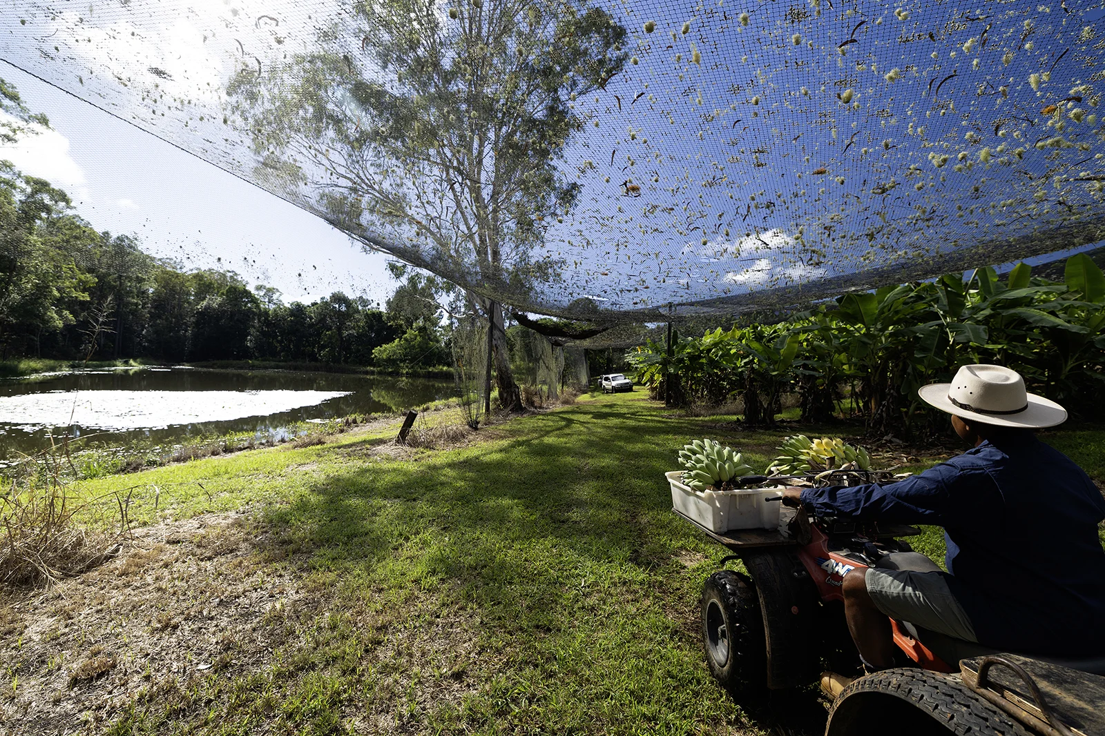 Additional image 22 of 654 Blackall Range Road, West Woombye QLD 4559