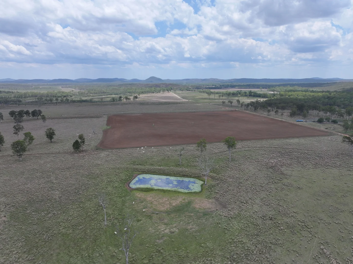 Additional image 72 of Blunder Park Station 382 Blunder Park Road, Ravenshoe QLD 4888