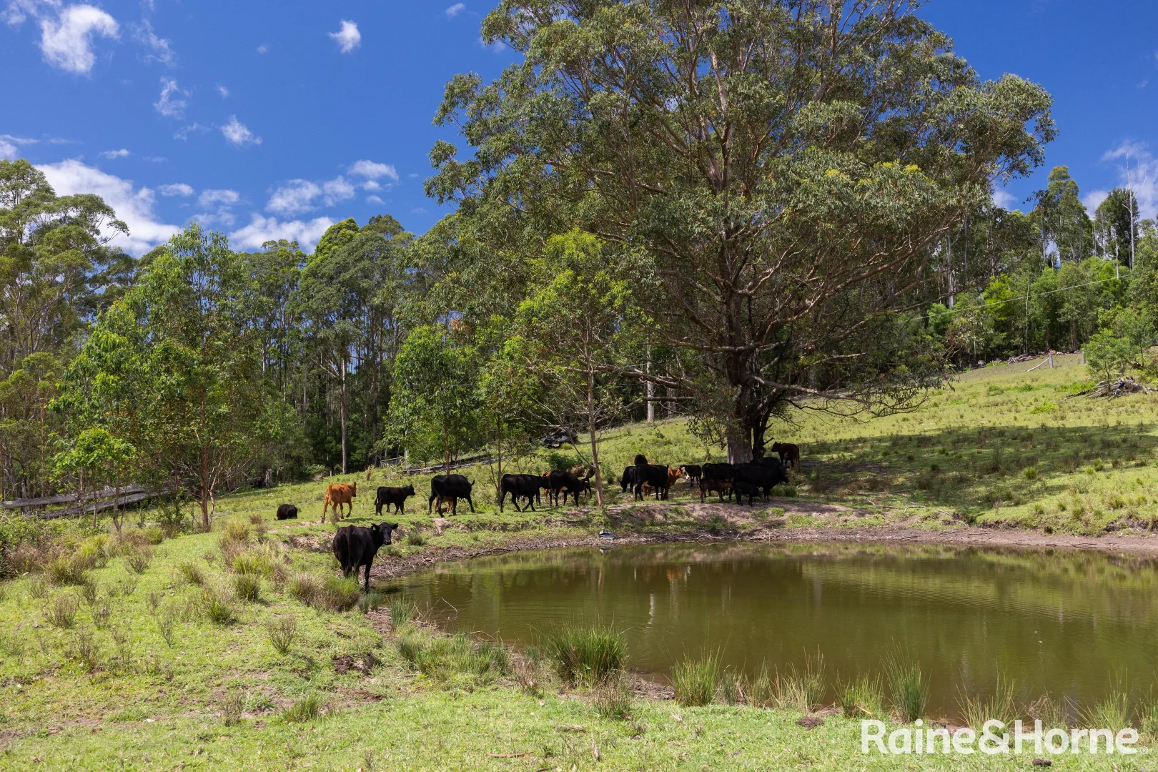 Additional image 18 of 225 Woodburn Road, Morton NSW 2538